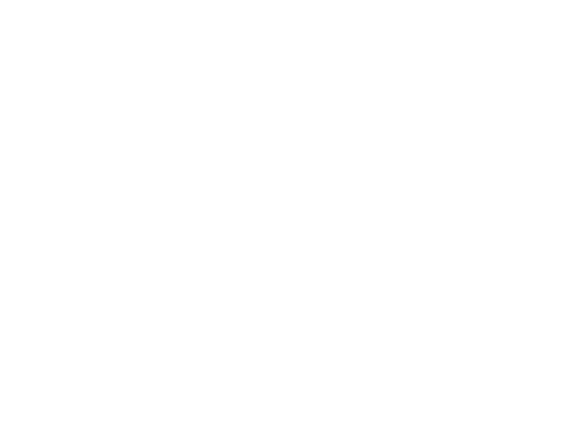 Scout Social